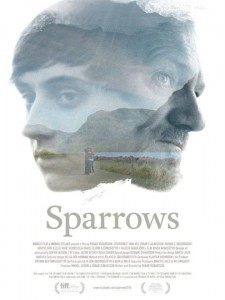Sparrows-Gorriones